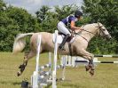 Image 200 in BECCLES AND BUNGAY RC. FUN DAY. 3 JULY 2016. SHOW JUMPING.