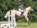 Image 201 in BECCLES AND BUNGAY RC. FUN DAY. 3 JULY 2016. SHOW JUMPING.