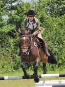 Image 204 in BECCLES AND BUNGAY RC. FUN DAY. 3 JULY 2016. SHOW JUMPING.
