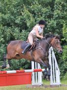 Image 208 in BECCLES AND BUNGAY RC. FUN DAY. 3 JULY 2016. SHOW JUMPING.