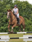 Image 209 in BECCLES AND BUNGAY RC. FUN DAY. 3 JULY 2016. SHOW JUMPING.