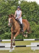 Image 210 in BECCLES AND BUNGAY RC. FUN DAY. 3 JULY 2016. SHOW JUMPING.