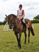 Image 221 in BECCLES AND BUNGAY RC. FUN DAY. 3 JULY 2016. SHOW JUMPING.