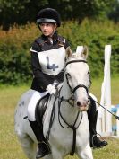 Image 28 in BECCLES AND BUNGAY RC. FUN DAY. 3 JULY 2016. SHOW JUMPING.