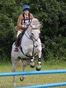 Image 31 in BECCLES AND BUNGAY RC. FUN DAY. 3 JULY 2016. SHOW JUMPING.