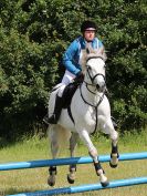 Image 37 in BECCLES AND BUNGAY RC. FUN DAY. 3 JULY 2016. SHOW JUMPING.