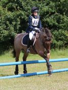 Image 44 in BECCLES AND BUNGAY RC. FUN DAY. 3 JULY 2016. SHOW JUMPING.