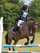 Image 45 in BECCLES AND BUNGAY RC. FUN DAY. 3 JULY 2016. SHOW JUMPING.
