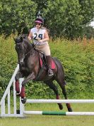 Image 54 in BECCLES AND BUNGAY RC. FUN DAY. 3 JULY 2016. SHOW JUMPING.