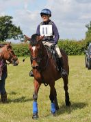 Image 66 in BECCLES AND BUNGAY RC. FUN DAY. 3 JULY 2016. SHOW JUMPING.