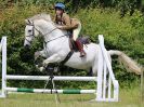 Image 75 in BECCLES AND BUNGAY RC. FUN DAY. 3 JULY 2016. SHOW JUMPING.