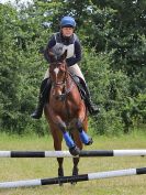 Image 82 in BECCLES AND BUNGAY RC. FUN DAY. 3 JULY 2016. SHOW JUMPING.