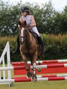 Image 83 in BECCLES AND BUNGAY RC. FUN DAY. 3 JULY 2016. SHOW JUMPING.