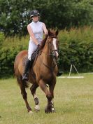 Image 96 in BECCLES AND BUNGAY RC. FUN DAY. 3 JULY 2016. SHOW JUMPING.