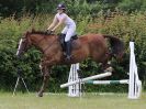 Image 97 in BECCLES AND BUNGAY RC. FUN DAY. 3 JULY 2016. SHOW JUMPING.