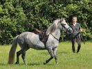 Image 9 in BECCLES AND BUNGAY RC. FUN DAY. 3 JULY 2016. A FEW DRESSAGE AND OTHERS.