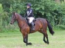 Image 110 in BECCLES AND BUNGAY RC. HUNTER TRIAL. 10 JULY 2016