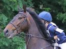 Image 114 in BECCLES AND BUNGAY RC. HUNTER TRIAL. 10 JULY 2016