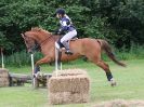 Image 126 in BECCLES AND BUNGAY RC. HUNTER TRIAL.  10 JULY 2016