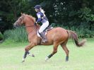 Image 127 in BECCLES AND BUNGAY RC. HUNTER TRIAL. 10 JULY 2016