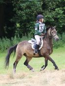 Image 130 in BECCLES AND BUNGAY RC. HUNTER TRIAL. 10 JULY 2016