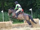 Image 133 in BECCLES AND BUNGAY RC. HUNTER TRIAL.  10 JULY 2016