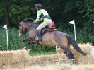 Image 133 in BECCLES AND BUNGAY RC. HUNTER TRIAL. 10 JULY 2016