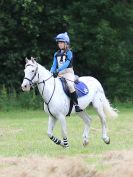 Image 141 in BECCLES AND BUNGAY RC. HUNTER TRIAL.  10 JULY 2016