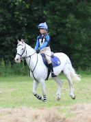 Image 141 in BECCLES AND BUNGAY RC. HUNTER TRIAL. 10 JULY 2016