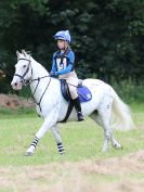Image 142 in BECCLES AND BUNGAY RC. HUNTER TRIAL.  10 JULY 2016