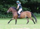 Image 152 in BECCLES AND BUNGAY RC. HUNTER TRIAL. 10 JULY 2016