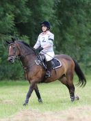 Image 154 in BECCLES AND BUNGAY RC. HUNTER TRIAL. 10 JULY 2016