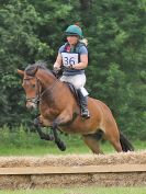 Image 171 in BECCLES AND BUNGAY RC. HUNTER TRIAL. 10 JULY 2016