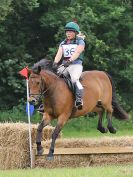 Image 172 in BECCLES AND BUNGAY RC. HUNTER TRIAL. 10 JULY 2016