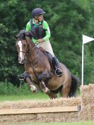 Image 179 in BECCLES AND BUNGAY RC. HUNTER TRIAL. 10 JULY 2016
