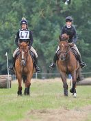 Image 187 in BECCLES AND BUNGAY RC. HUNTER TRIAL.  10 JULY 2016