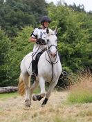 Image 19 in BECCLES AND BUNGAY RC. HUNTER TRIAL. 10 JULY 2016