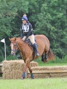 Image 191 in BECCLES AND BUNGAY RC. HUNTER TRIAL. 10 JULY 2016
