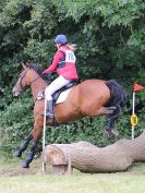Image 199 in BECCLES AND BUNGAY RC. HUNTER TRIAL.  10 JULY 2016