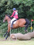 Image 199 in BECCLES AND BUNGAY RC. HUNTER TRIAL. 10 JULY 2016
