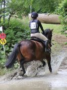 Image 201 in BECCLES AND BUNGAY RC. HUNTER TRIAL. 10 JULY 2016