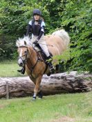 Image 206 in BECCLES AND BUNGAY RC. HUNTER TRIAL.  10 JULY 2016