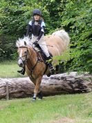 Image 206 in BECCLES AND BUNGAY RC. HUNTER TRIAL. 10 JULY 2016