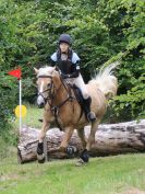 Image 207 in BECCLES AND BUNGAY RC. HUNTER TRIAL.  10 JULY 2016