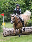 Image 208 in BECCLES AND BUNGAY RC. HUNTER TRIAL.  10 JULY 2016