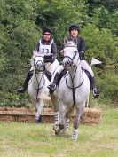 Image 21 in BECCLES AND BUNGAY RC. HUNTER TRIAL. 10 JULY 2016