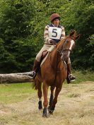 Image 29 in BECCLES AND BUNGAY RC. HUNTER TRIAL. 10 JULY 2016