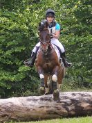 Image 33 in BECCLES AND BUNGAY RC. HUNTER TRIAL.  10 JULY 2016
