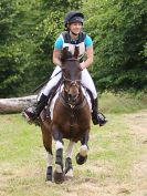 Image 35 in BECCLES AND BUNGAY RC. HUNTER TRIAL. 10 JULY 2016
