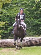 Image 40 in BECCLES AND BUNGAY RC. HUNTER TRIAL.  10 JULY 2016